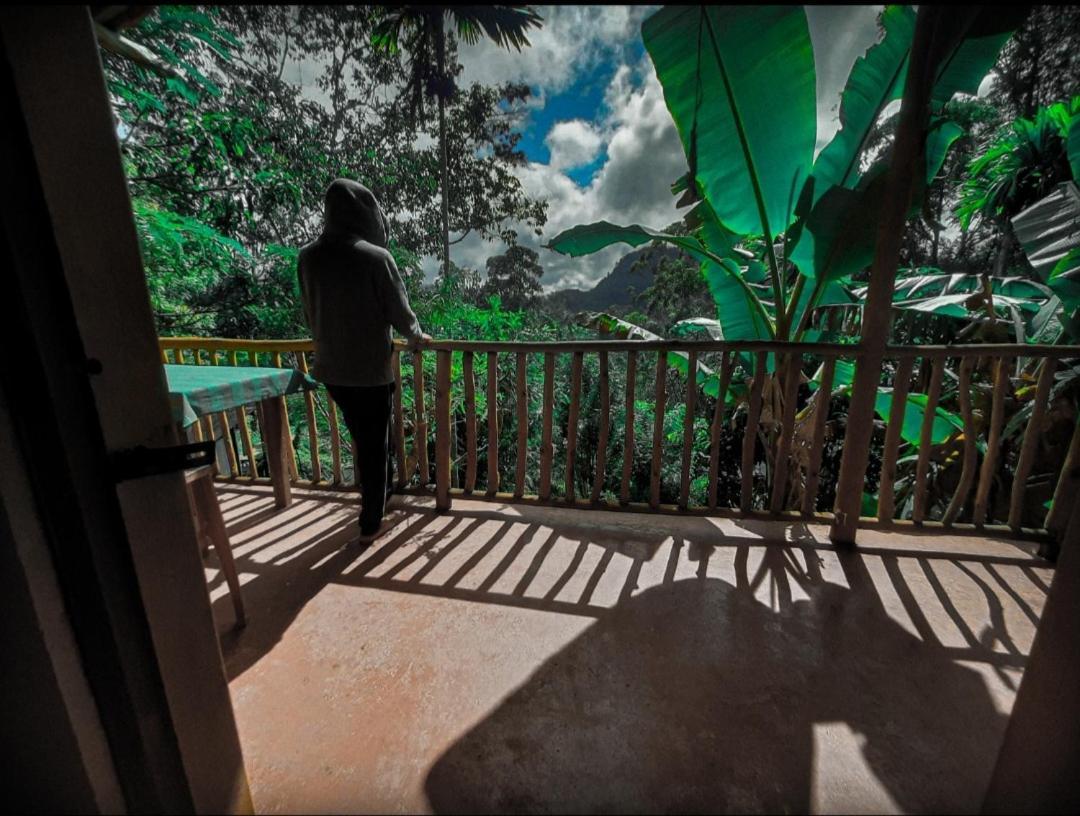 Ella New Green View ภายนอก รูปภาพ